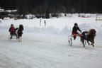 Zieleinlauf beim Pony-Galopprennen