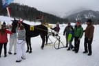 Siegerpferd Aristocat SR mit Preisspender Christian und Simon Oberleitner