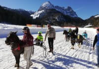 Pferdeschlittenrennen-2019-Winterrennbahn-Hotel-Gut-Kramerhof